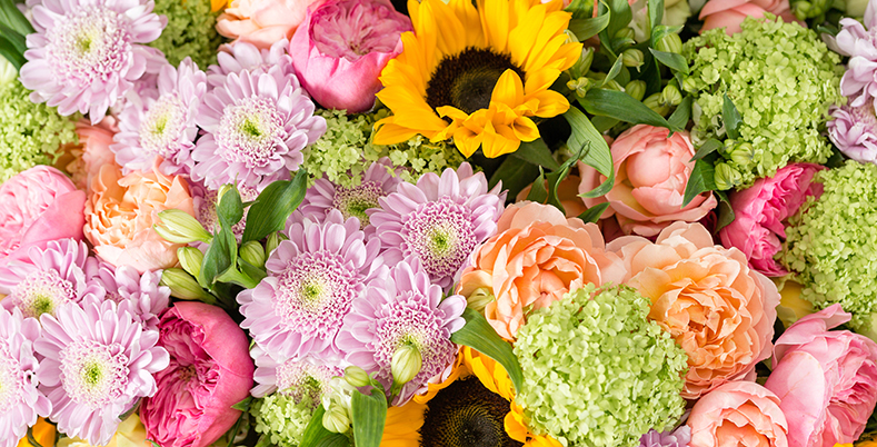 Summer Flowers